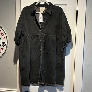 Fantastic Fawn Charcoal Button Down Dress